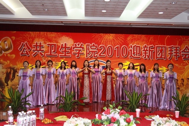 2010年迎新團拜會